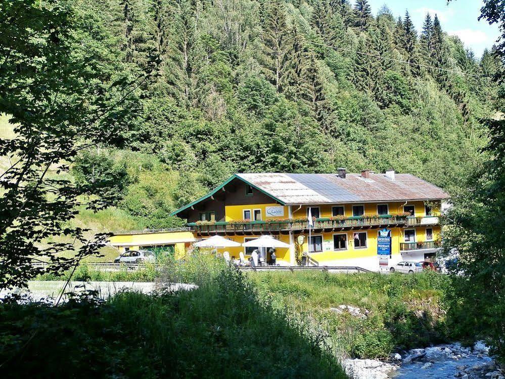 Hotel-Restaurant Bike&Snow Lederer Mühlbach am Hochkönig Zewnętrze zdjęcie